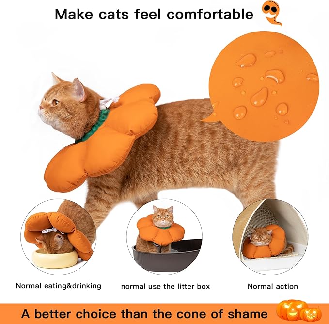 Cute Waterproof Cat Recovery Collar - Anti-Bite Lick Wound Healing Safety Elizabethan Collar - Orange Pumpkin Cat Halloween Costume