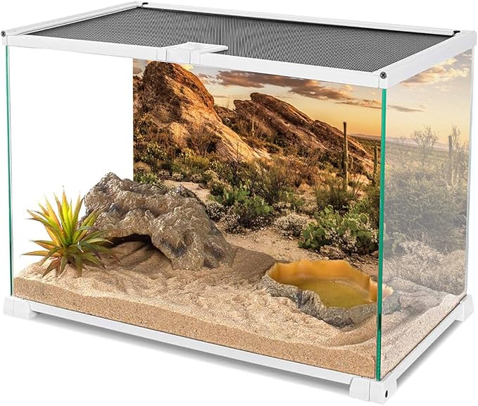 AWERT Reptile Habitat Background Blue Sky Oasis Cactus Sun and Desert Terrarium Background 48x18 inches Durable Polyester Background