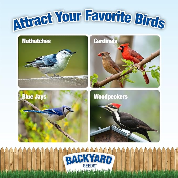 CountryMax Backyard Seeds Shelled Whole Peanuts for Woodpeckers, Birds, Squirrels & Wildlife – Premium Wild Animal Food, 10 lbs Bag