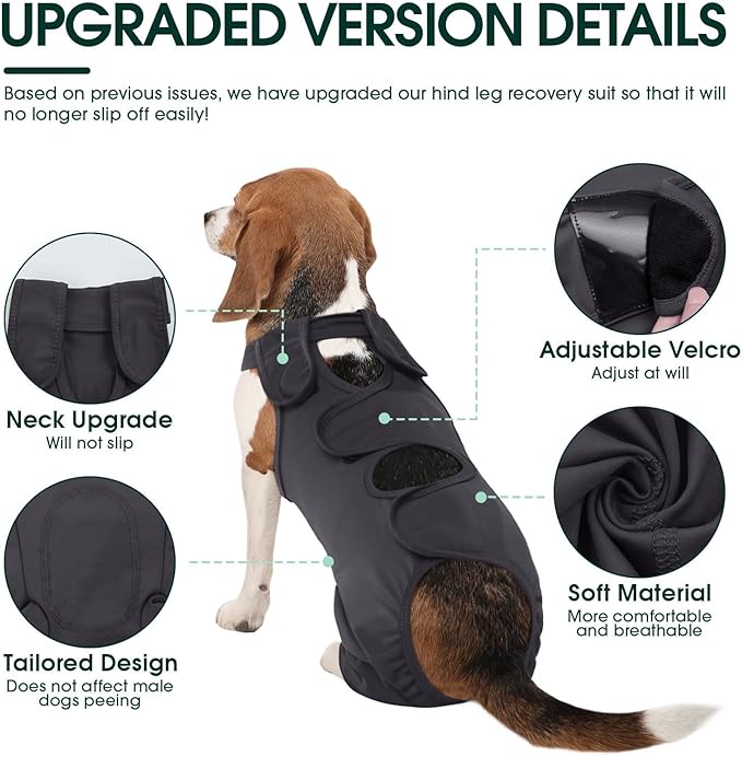 Kuoser Dog Surgery Recovery Suit - Thigh Wound Protective Sleeve for Female & Male Dogs, Pet Surgical Onesie for Spay/Neuter, Gray XXL
