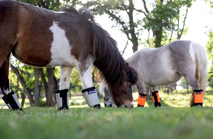 Warrior Fly Boots for Horses - Breathable Mesh Horse Boots for Fly Protection & Leg Comfort - Set of 4 (Knight Warrior, Neon Pink)