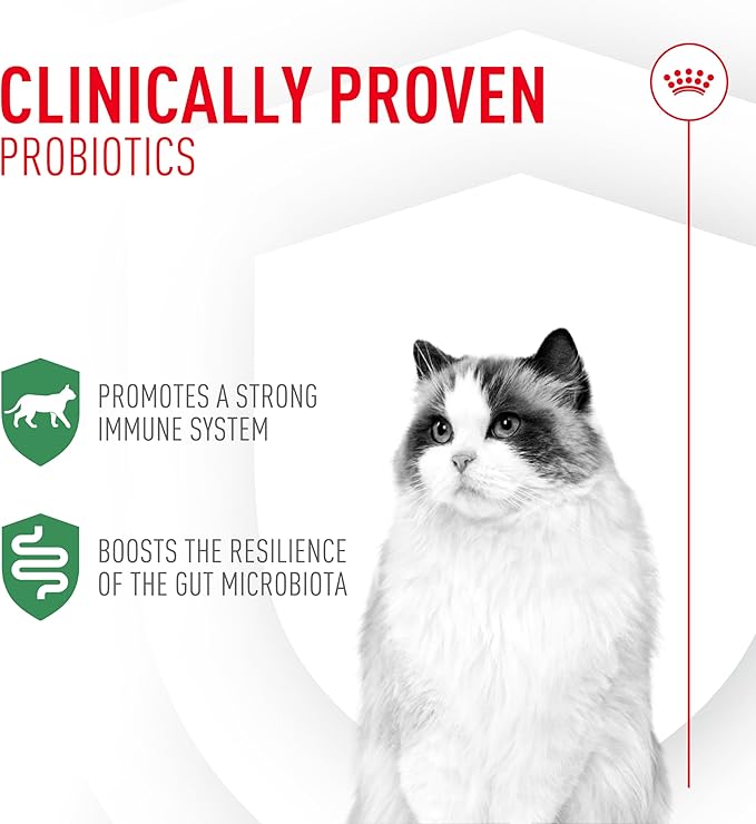 Royal Canin Probiotics for Cats Digestive and Immune Health Powder Supplement for Cats of All Ages, 7 Count