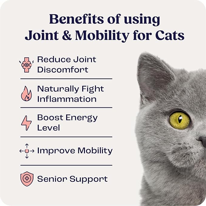 Summit Feline Pain Relief Supplement Inflammation Hip & Joint Support Vitamin for Cats - Natural Chrondroitin with Liposomal Delivery for Arthritis - Drug Free - All Ages