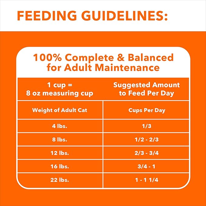 IAMS Proactive Health Adult Sensitive Digestion & Skin Dry Cat Food with Turkey, 13 lb. Bag