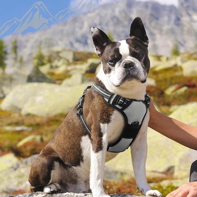 Eagloo Dog Harness Medium Sized Dog, No Pull Service Vest with Reflective Strips and Control Handle, Adjustable and Comfortable for Easy Walking, No Choke Pet Harness with 2 Metal Rings, Grey, M