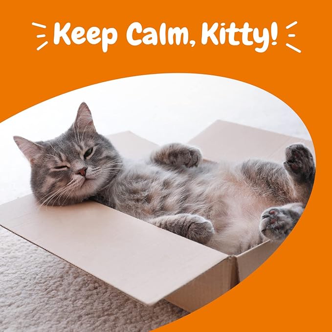 Zesty Paws Calming Chews for Cats - Composure & Relaxation for Everyday Stress & Separation - with Ashwagandha, Organic Chamomile, L-Theanine & L-Tryptophan – Bacon - 60 Count - Cat