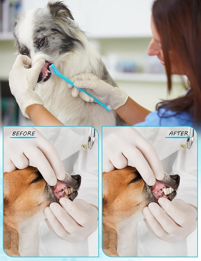 Brand Name 100pcs Double Headed Soft Bristle Toothbrush Brush Kit - Long Handle for Dogs, Cats & Pets - Blue