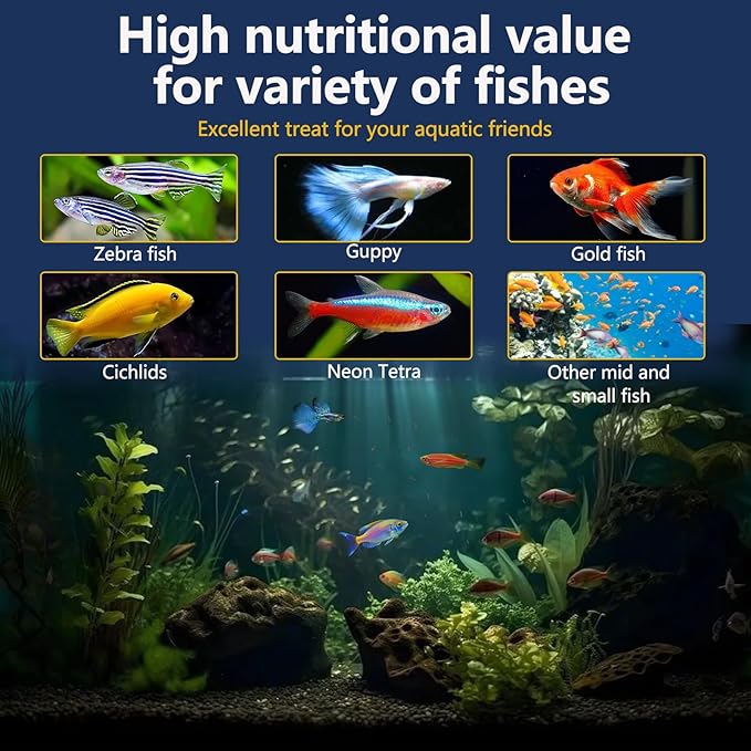 JADINGSFRAM Blood Worms Fish Food 2.5 oz, Freeze Dried Bloodworms for Fish, Bloodworms Fish Food for Freshwater Saltwater Tropical Fish Betta Cichlid Goldfish Guppy Turtle (2.5 OZ)