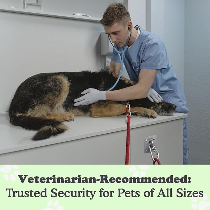 Canine Hitch- Secure Dog Leash Parking Wall Large Hook with Clip 2 Pack - Tie Out Stainless Steel & ABS Mounting Plate for Strength - Practical Lead Management for Home & Business