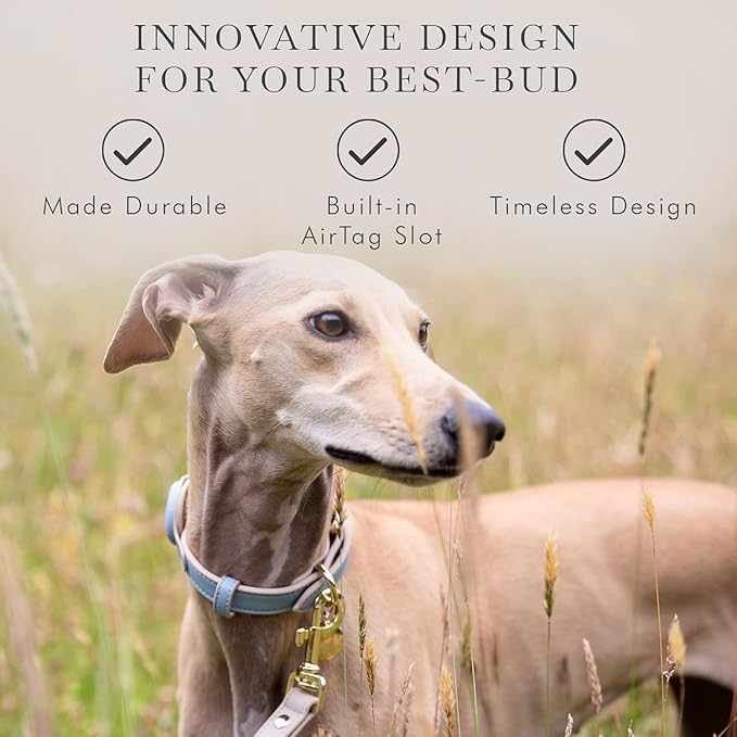 Cupertino Dog Collars, Harnesses & Leashes Made from Vegan Leather with Dog Tracker Device Holder Adjustable Dog Collar - Color Blue, Medium