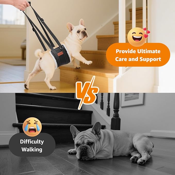 LOOBANI Portable Dog Sling for Back Legs, Hip Support Harness to Help Lift Dogs Rear for Canine Aid and Old K9 Cruciate Ligament Rehabilitation