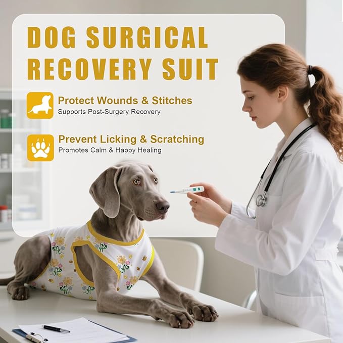 Recovery Suit for Dogs After Surgery, Professional Dog Surgical Suit for Female Spay, Male Neuter, E-Collar & Cone Alternative Dog Onesie for Abdominal Wounds Skin Disease, Yellow, XS