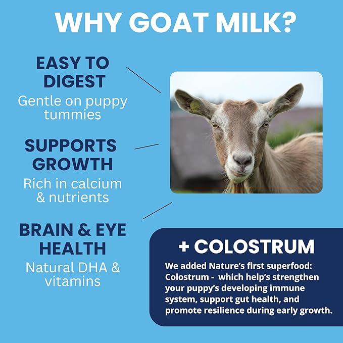 Under the Weather Puppy Milk Replacement Formula + Colostrum for Dogs & Puppies | Goat Milk Replacer Powder | Goat-Based Formula with Colostrum for Immune & Digestive Support - 12 oz