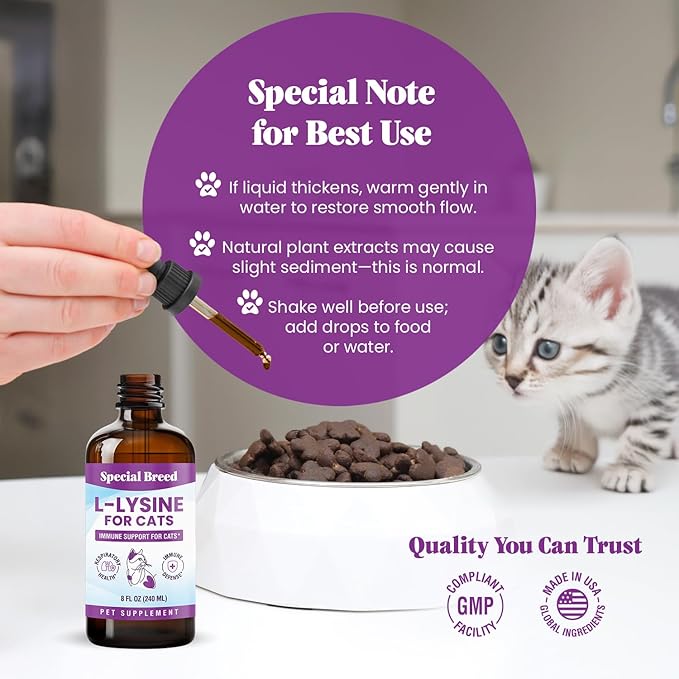 Special Breed L-Lysine for Cats & Kittens – Immune, Respiratory & Eye Health Support – Liquid Cat Supplement with Astragalus, Burdock, Atractylodes, Dangshen & Vitamins A, B1, B2, B6 – 8oz (240mL)