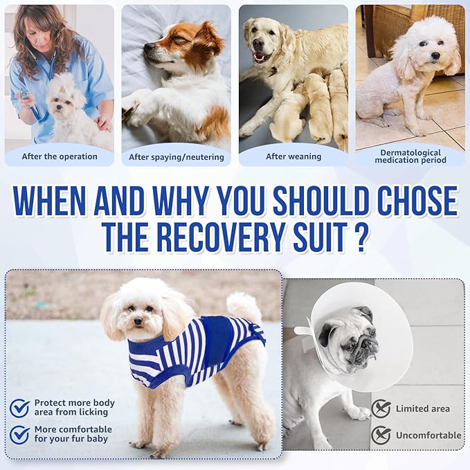 Lukovee Recovery Suit for Dogs, Zipper On Recovery Suit for Female Male Dog, Onesie Abdominal Wounds Cone E-Collar Alternative Prevent Licking Spay Recovery Suit (Large, Blue & White)