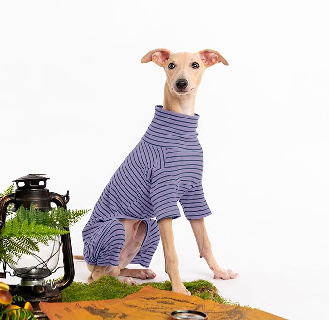 Dog Sweaters for Small Dogs Girls Boys, Striped Pet Sweaters for Fall Winter Dog Clothes, Turtleneck Pullover Knitwear for Small Medium Large Dog- ( Available in multiple colors)