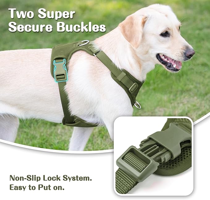 No Pull Dog Harness for Small Medium Large Dogs - Adjustable Two-Layer Mesh Dog Vest with Dual Clip, Escape Proof, Quick Release, Lightweight Breathable Mesh for Walking Hiking (Misty Green,L)