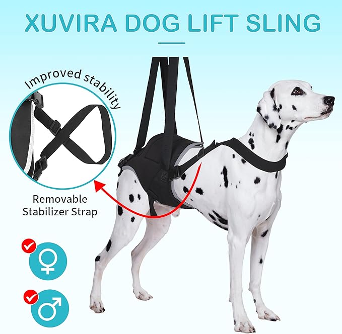 Dog Hip Support Brace – Rear Leg Lift Harness for Mobility & Post-Surgery Recovery, with Chest Straps and Adjustable Elastic Buckles, Customization