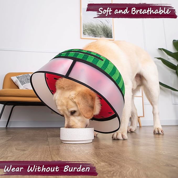 Inflatable Dog Cone Collar with Enhanced Anti-Licking, Soft Neck Donut for Dogs Cats, Recovery Pet Cone Collar After Surgery for Large Medium Small Dogs… (Watermelon, Large)