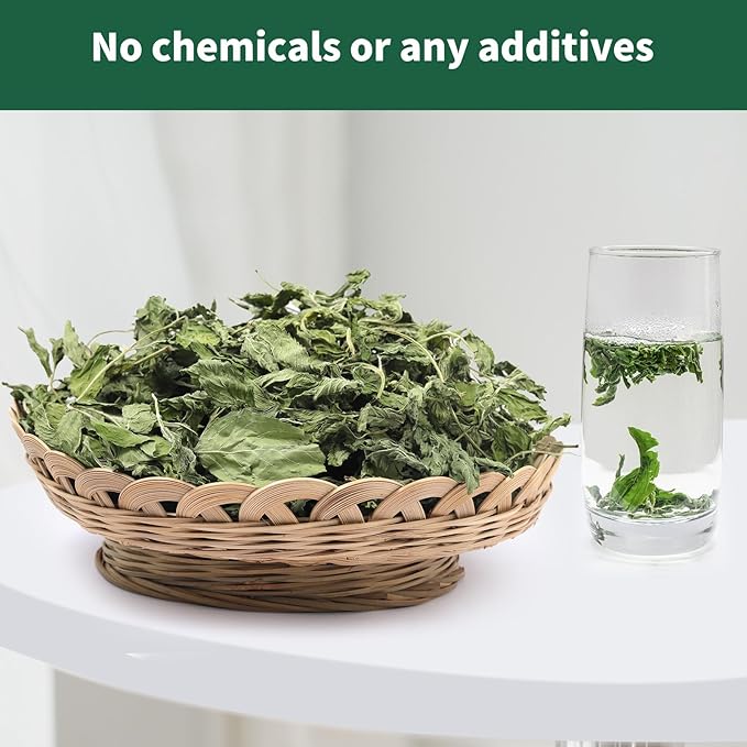 Nature Treats for Small Animals Dried Mint Leave 12 OZ - Dust Free Natural Green Fresh for Pets Rabbits, Rich in nutrients Alleviate Digestive Improve The Oral Health of Pets