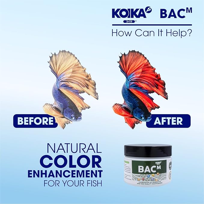 KOIKA BACM Natural Color Enhancement for Fish, Combination of Probiotic & Multi-Vitamins for Aquarium A, B6, B2, Pleasant Smell (BACM (New Formula), 10ml)