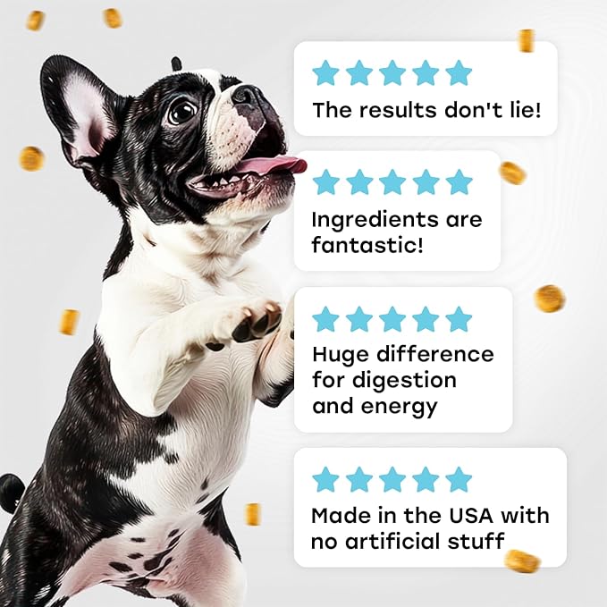 Probiotics for Dogs - PhD Endorsed Digestive Enzymes - Gut Health, Diarrhea & Bowel Support - Dog Treats with Turmeric, Omega-3 & Fiber - Immune Soft 140 Chews - Beef Flavor - Made in USA