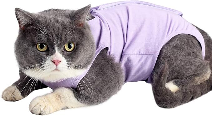 Cat Surgery Recovery Suit Cat Onesie for Cats After Surgery Spay Surgical Abdominal Wound Skin Diseases E-Collar Alternative Wear (Purple-S)