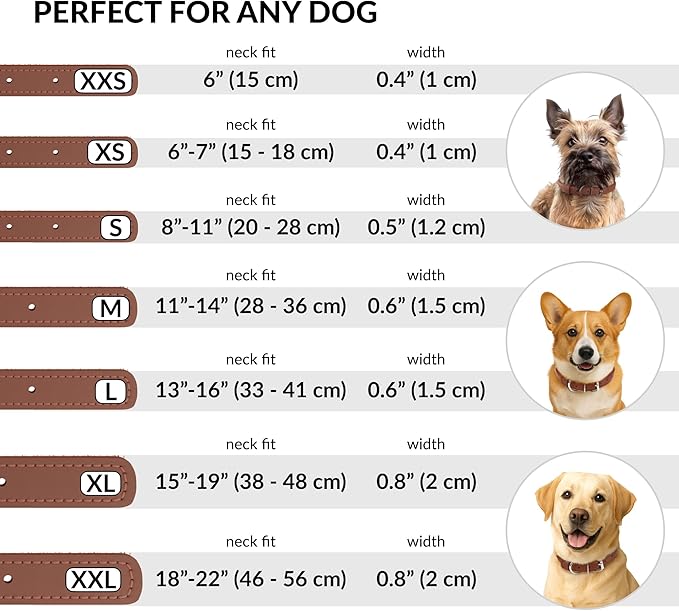 CollarDirect Rolled Leather Dog Collar, Soft Padded Round Puppy Collar, Handmade Genuine Leather Collar Dog Small Large Cat Collars 13 Colors (8-11 Inch, Cinnamon Textured)