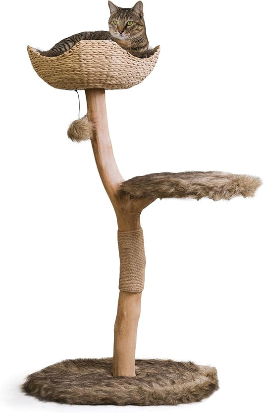 Wooden Cat Tree Tower, Modern Single Branch Cat Condo, Wood Cat Tree, Cat Climbing, Furniture for Cat, Cat Lover Gift, Cat Furniture,Cat Gift by MAU LIFESTYLE (Brown)