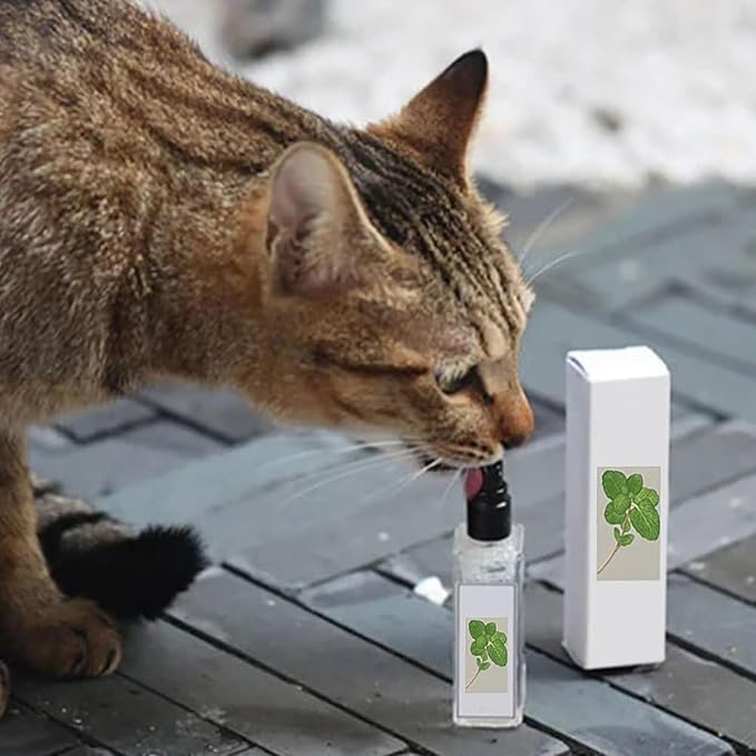 Kitty Joy Herbal Cat Joy, Herbal Cat Joy Spray, Celery Pets Catnip Spray, Catnip Spray for Indoor Cats, Cat Calming Spray, Anti Scratch Cat Spray, Cat Training Spray with Catnip, Cat Nip Spray (5PCS)