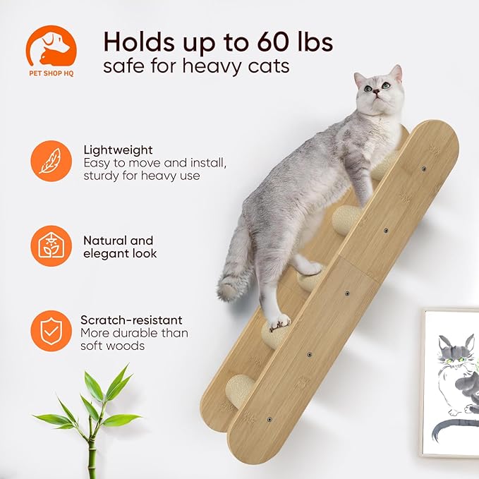 Wall-Mounted Cat Furniture for Climbing - Indoor Wooden Floating Shelves, Perches, Hammock, Bed, Bridges, and Walkways