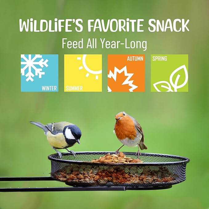 Premium Quality Raw Out of Shell Peanuts - 3 Pound - Shelled Peanuts for Birds – Wildlife Quality - Food for Squirrels, Deer, Birds, and Other Wildlife Animals – Grown in The USA