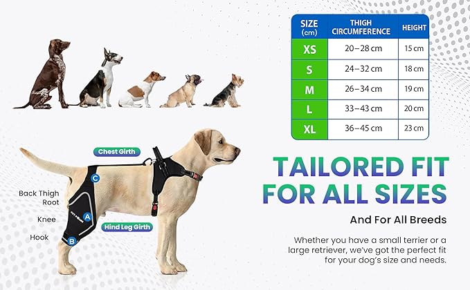 Comfortable Dog Knee Brace for Both Hind Legs with Harness - for ACL Tear, Luxating Patellae, Osteoarthritis & Instability - for Recovery & Injury Prevention in Active/Aging Dogs - (XLarge)