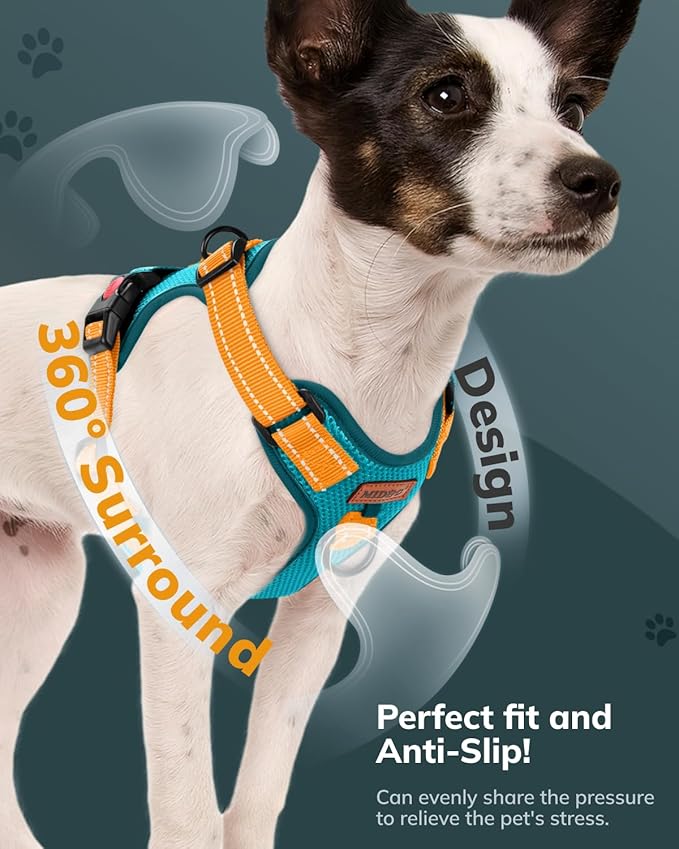 MIDOG No-Pull Dog Harness | Adjustable & Reflective Pet Harness Leash Set for Small Medium Large Dogs Walking, Training| No Choke, Front Clip, Soft Padded Vest with Easy Control Handle - Blue, M