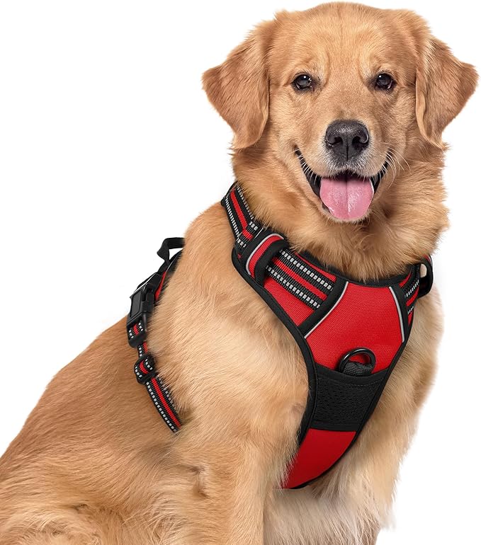rabbitgoo Dog Harness No Pull with 2 Leash Clips, Adjustable Soft Padded, Reflective Oxford No Choke Pet Vest with Easy Control Handle for Large Dogs, Red, XL