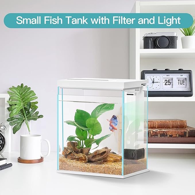 Betta Fish Tank, 2 Gallon Glass Aquarium Starter Kit, Small Fish Tank with Filter and Light.