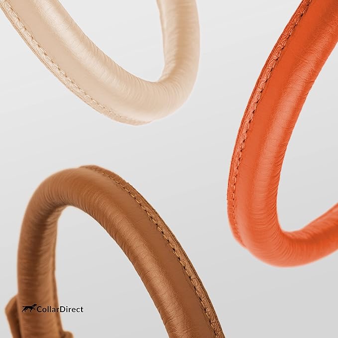 CollarDirect Rolled Leather Dog Collar, Soft Padded Round Puppy Collar, Handmade Genuine Leather Collar Dog Small Large Cat Collars 13 Colors (15-19 Inch, Orange Textured)