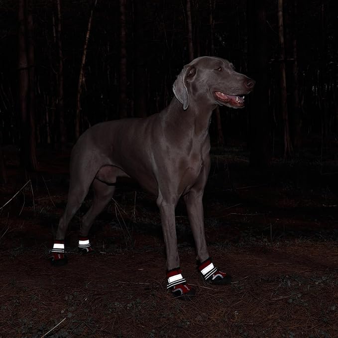 Dog Shoes for Large Dogs, Medium Dog Boots & Paw Protectors for Winter Snowy Day, Summer Hot Pavement,Waterproof in Rainy Weather,Outdoor Walking,Indoor Hardfloors Anti Slip Sole(Red, 3# (XS))