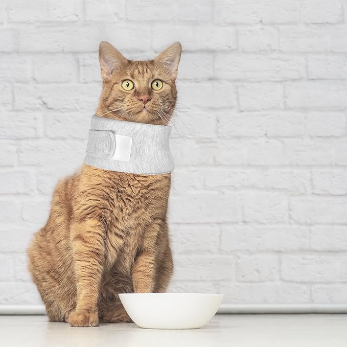 Cat Neck Brace, Adjustable Breathable Elizabethan Collar for Pet After Surgery Recovery Cat Neck Cervical Cone for Small Dogs Puppies Kittens with Neck Circumference 6.3-8.6 Inch (X-Small,Grey)