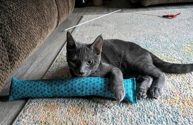 15" Catnip Cat Kicker Toys/Kitty Kick Sticks/Cat-Nip Kick Sticks (Emerald Green) (Kickers Filled with 1 oz Premium Canadian Catnip)