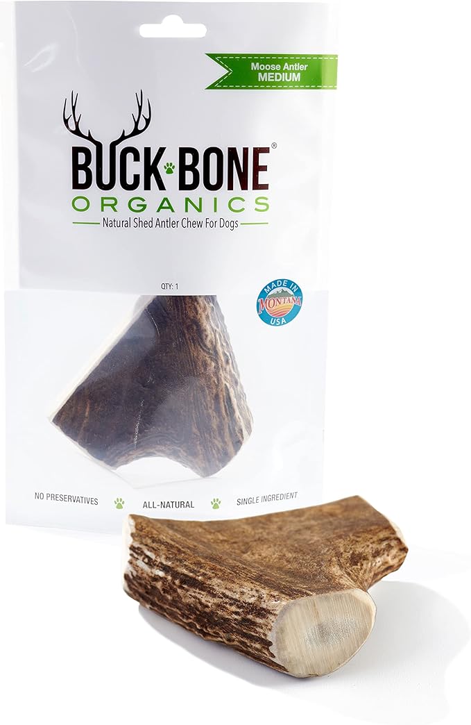 Buck Bone Organics Dog Chews, Moose Antlers for Dogs, Long Lasting Dog Bones for Aggressive Chewers, All Natural, No Preservatives, Wild Shed in The USA (Medium)