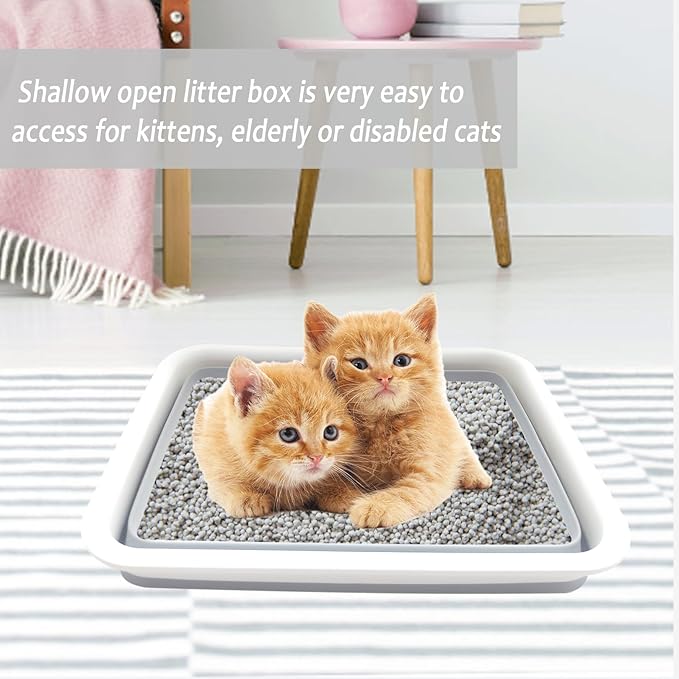 2 Pack Collapsible Small Cat Litter Box, Open Kitten Litter Potty Pan Low Entry Pet Kitty Toilet Foldable Waterproof Travel Toilet for Sick Frail Kitty 14.6 x 10.6 x 4.8 inches Grey