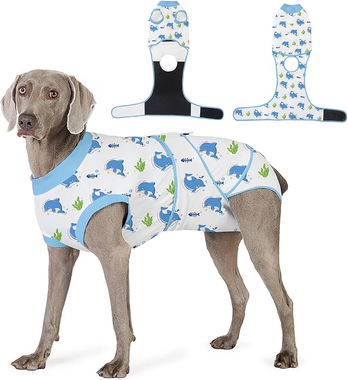 Recovery Suit for Dogs After Surgery, Professional Dog Surgical Suit for Female Spay, Male Neuter, E-Collar & Cone Alternative Dog Onesie for Abdominal Wounds Skin Disease, Blue, XL