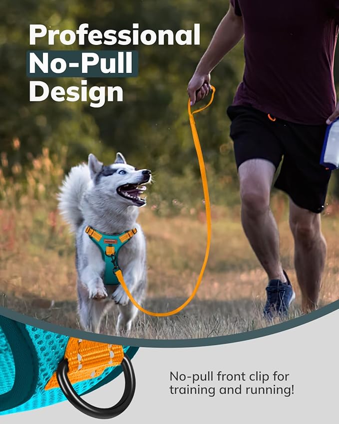 MIDOG No-Pull Dog Harness | Adjustable & Reflective Pet Harness Leash Set for Small Medium Large Dogs Walking, Training| No Choke, Front Clip, Soft Padded Vest with Easy Control Handle - Blue, XL