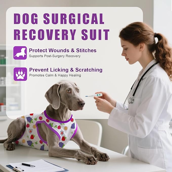 Recovery Suit for Dogs After Surgery, Professional Dog Surgical Suit for Female Spay, Male Neuter, E-Collar & Cone Alternative Dog Onesie for Abdominal Wounds Skin Disease, Purple, S