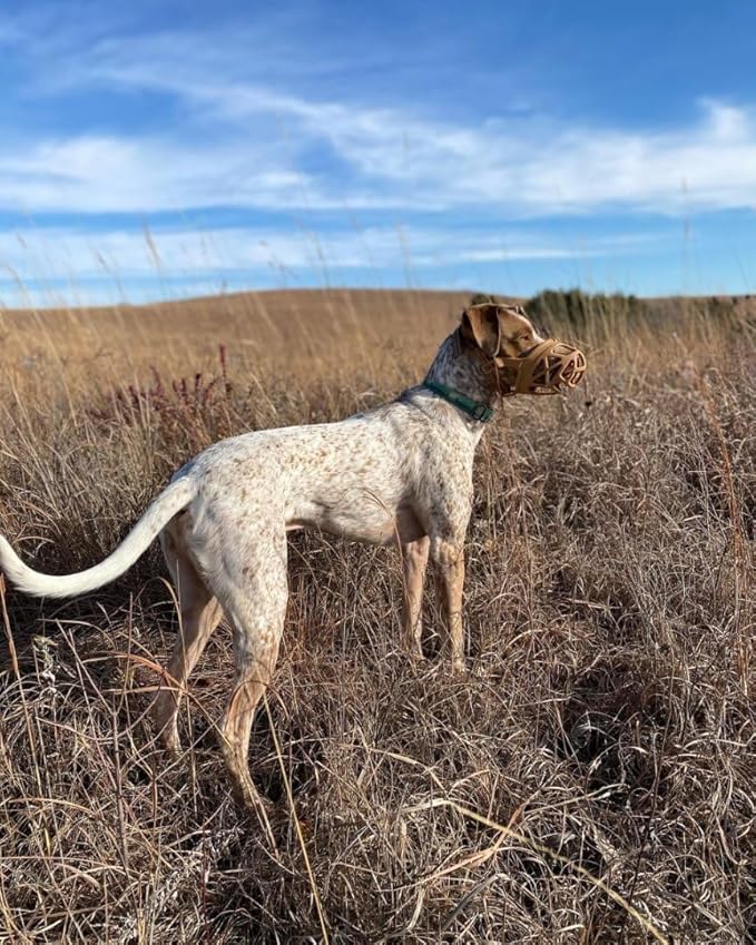 Mayerzon Dog Muzzle, Breathable Basket Muzzles for Small, Medium, Large and X-Large Aggressive Dogs Beagle German Shepherd Doberman, Cage Mouth Guard Stop Biting Chewing for Grooming Training