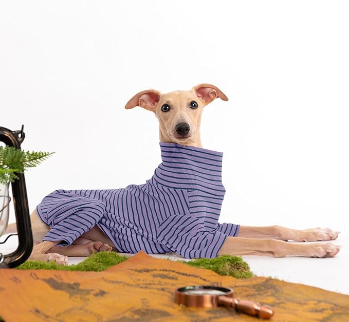 Dog Sweaters for Small Dogs Girls Boys, Striped Pet Sweaters for Fall Winter Dog Clothes, Turtleneck Pullover Knitwear for Small Medium Large Dog- ( Available in multiple colors)