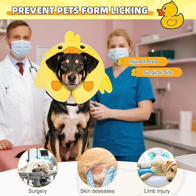KOOLTAIL Inflatable Dog Cone Collar, Soft Dog Cone Alternative for Large Medium Small Dogs After Surgery, Cute Costume Adjustable Donut Neck Cone for Dogs Cats, Comfortable Recovery E Collar, Duck M