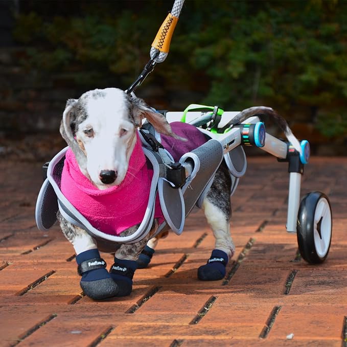 Double Dipped Thick Textured Waterproof Cotton Dog Socks | PawFlex Comfy Pawz Soft Indoor/Outdoor Pet Booties | Non-Slip Silicone Grip at Inner Wrist for No Twisting or Sliding Off| Adjustable Strap