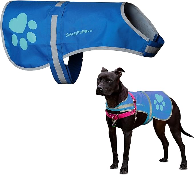 Dog Reflective Vest – Hi-Vis Fluorescent Visibility That Helps to Safeguard Your Pet On/Off Leash in Urban & Rural Areas (Blue, X-Large)
